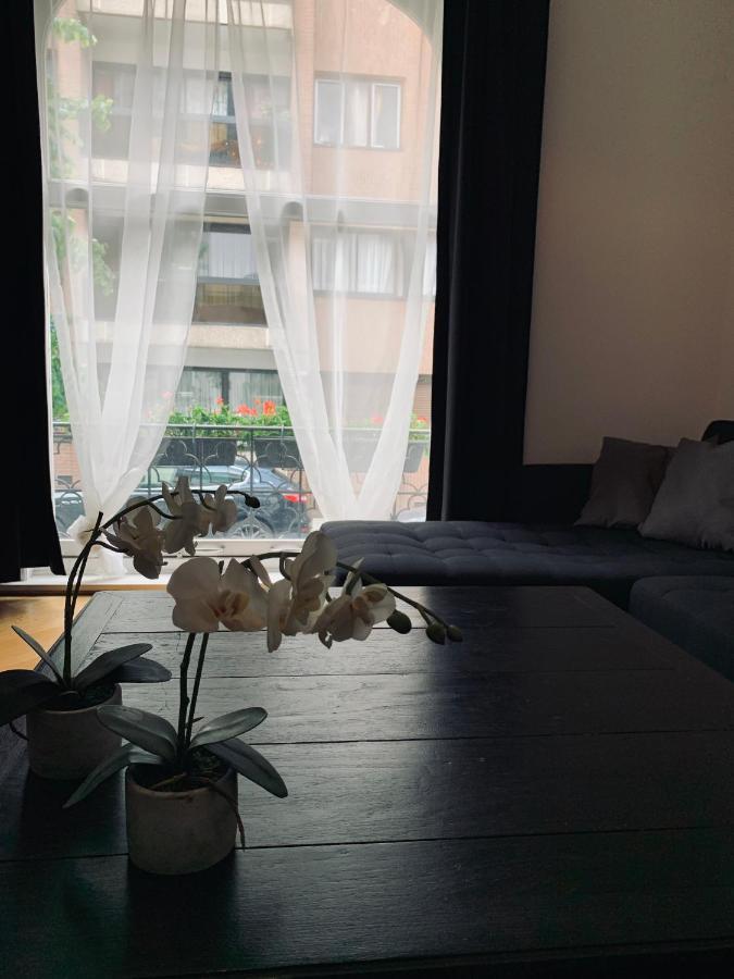 Chic Cocoon Guest House Saint-Gilles Exteriér fotografie